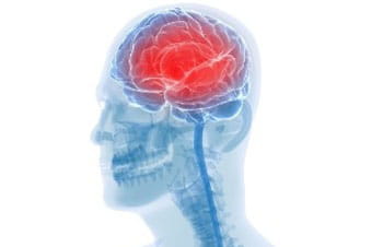 Skelton_of_side_of_head_showing_brain_in_red_illustration