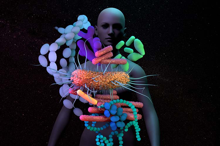 graphic representing microbes that live on and inside the human body