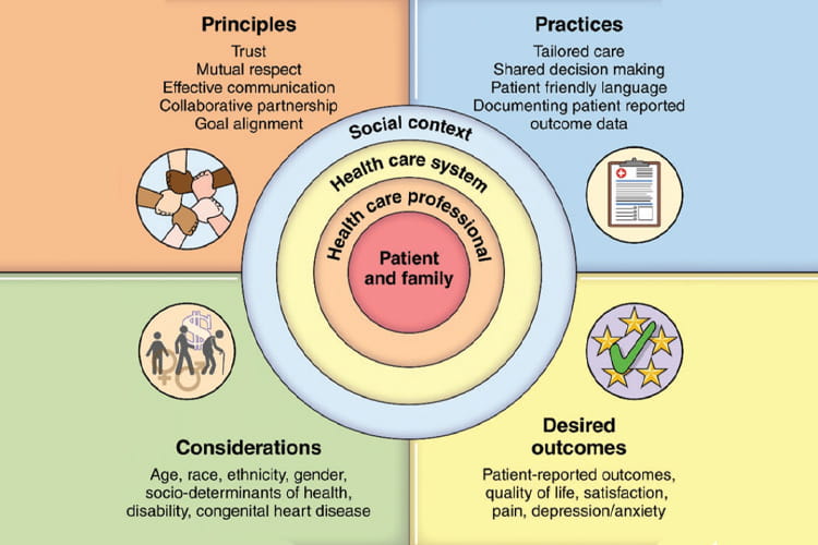 principles, practices, considerations, desired outcomes illustration