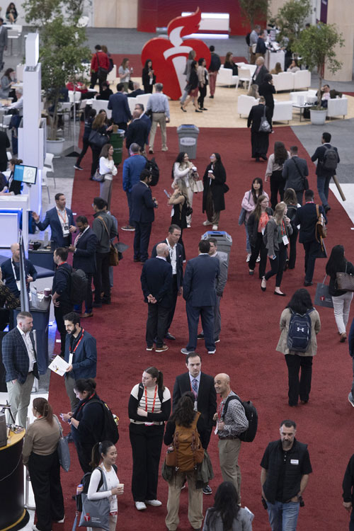 There is something for everyone at the International Stroke Conference.